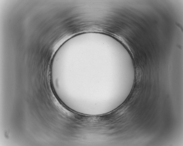 X0000102511387200808291724