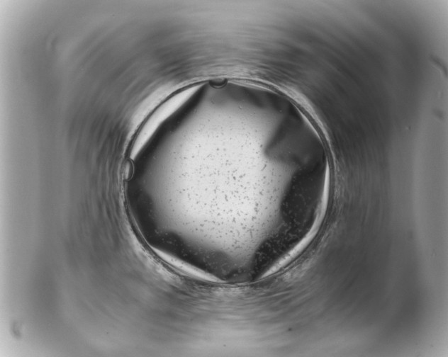 X0000102511389200808291724