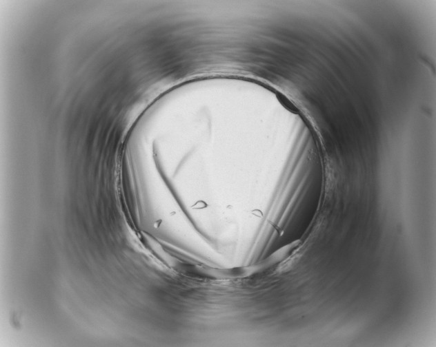 X0000102511390200808291724