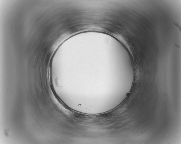 X0000102511391200808291724