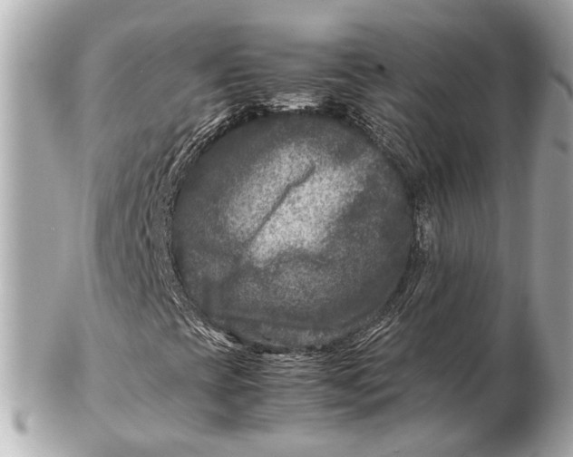 X0000102511393200808291723