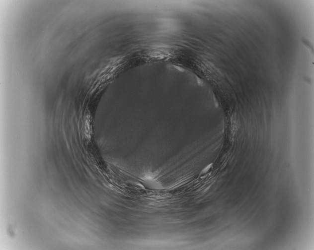 X0000102511394200808291723
