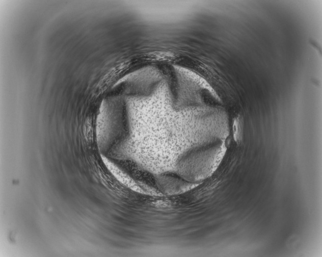 X0000102511395200808291723