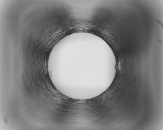 X0000102511396200808291723