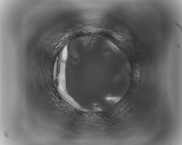 X0000102511397200808291723