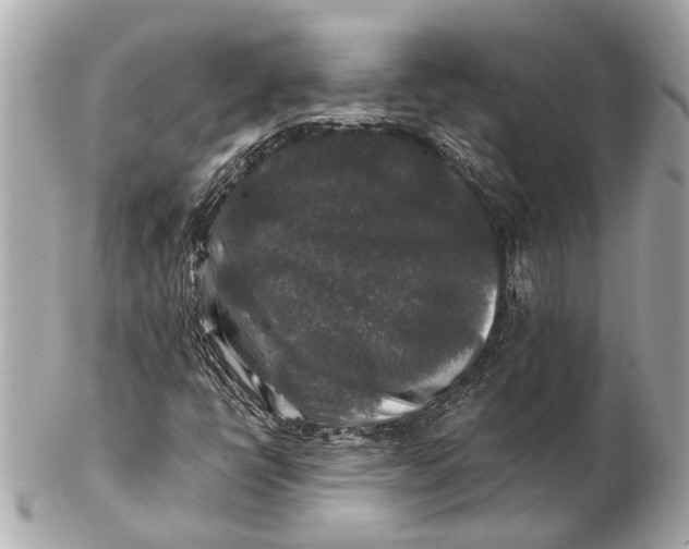 X0000102511398200808291723