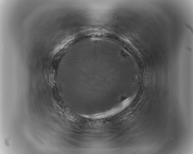 X0000102511399200808291723