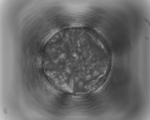 X0000102511401200808291723