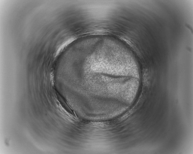 X0000102511402200808291723