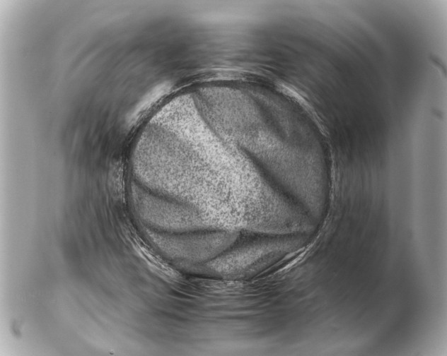 X0000102511403200808291723