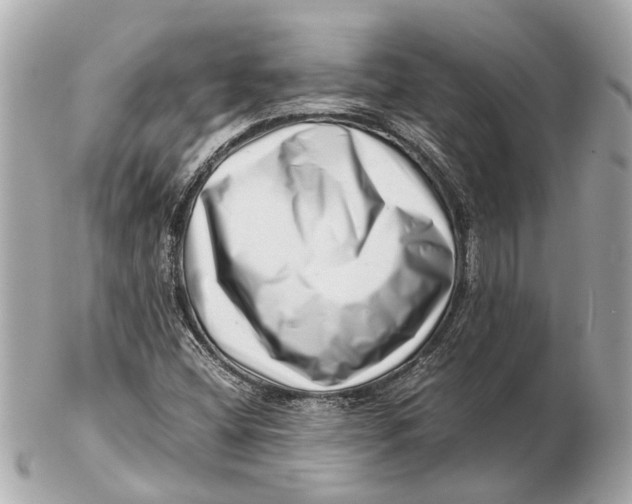 X0000102511404200808291723