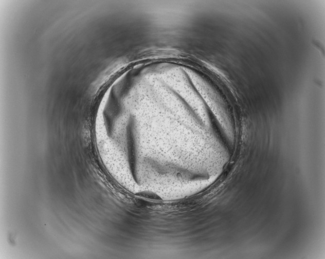 X0000102511407200808291723