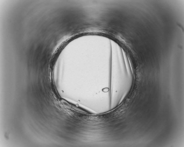 X0000102511408200808291723