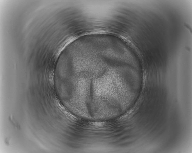 X0000102511409200808291723