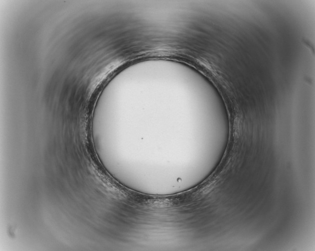 X0000102511410200808291723