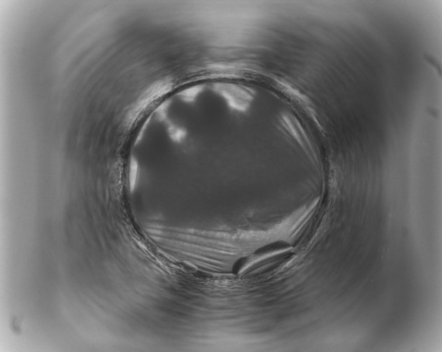 X0000102511411200808291723