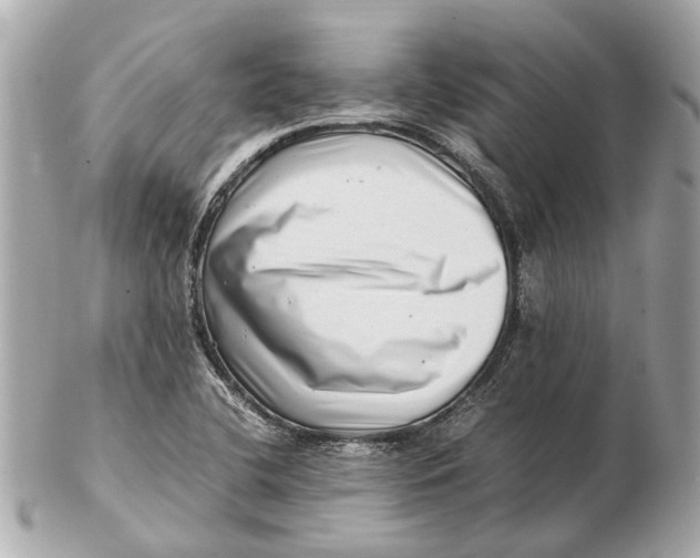 X0000102511412200808291723