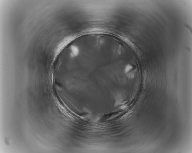 X0000102511413200808291723