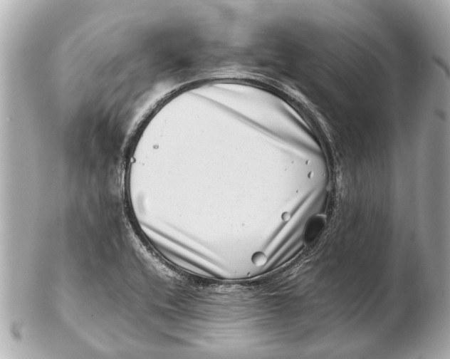 X0000102511416200808291723