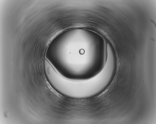 X0000102511417200808291723