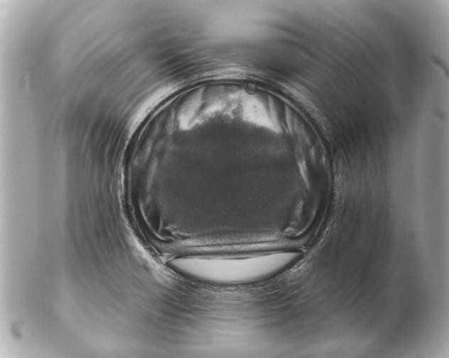 X0000102511418200808291723