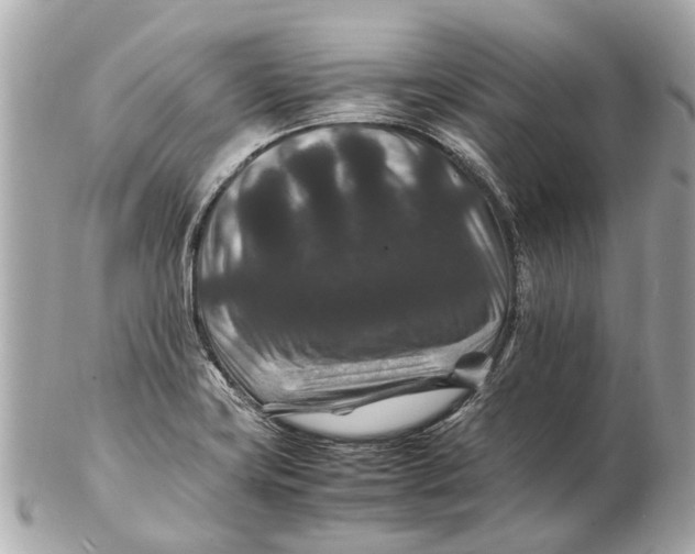 X0000102511419200808291723