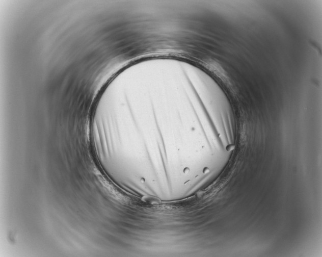 X0000102511420200808291723
