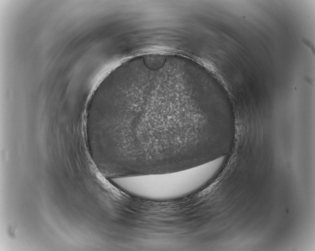 X0000102511421200808291723