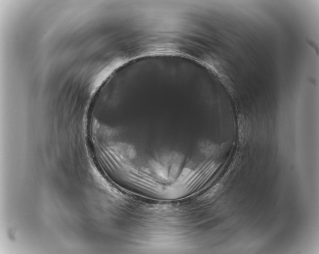 X0000102511422200808291723