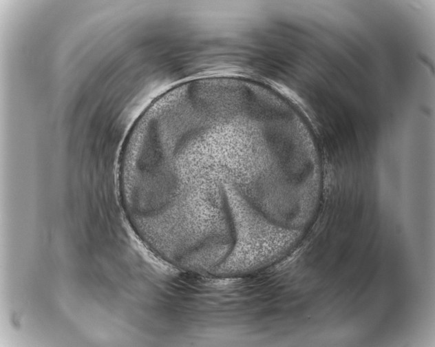X0000102511423200808291723