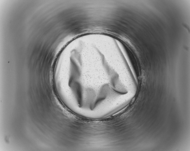 X0000102511424200808291723