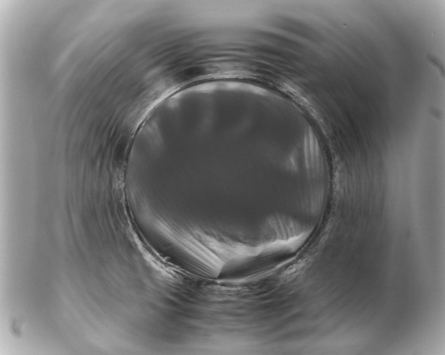 X0000102511425200808291723