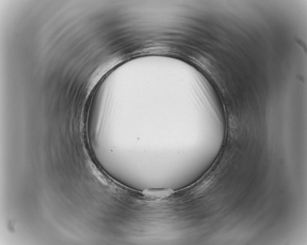 X0000102511426200808291723