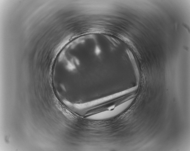 X0000102511427200808291723