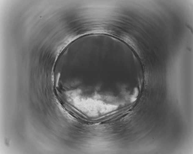 X0000102511428200808291723