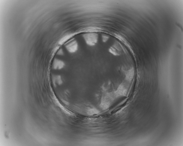 X0000102511429200808291724