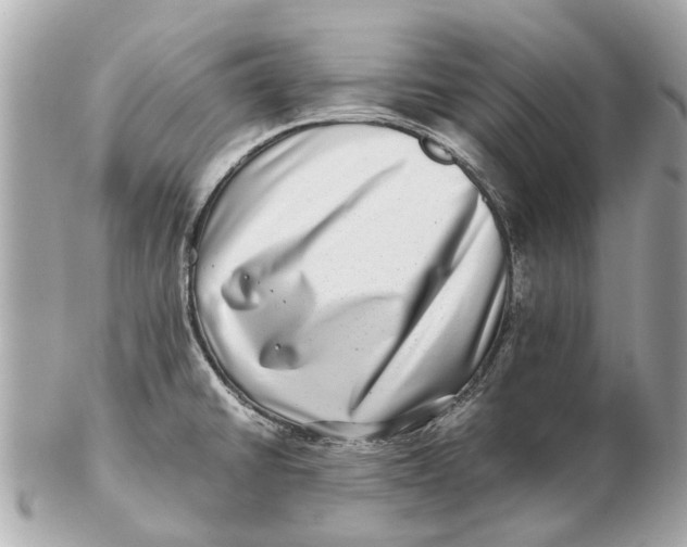X0000102511430200808291724