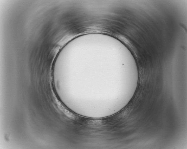 X0000102511431200808291724