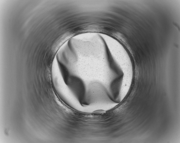 X0000102511433200808291724