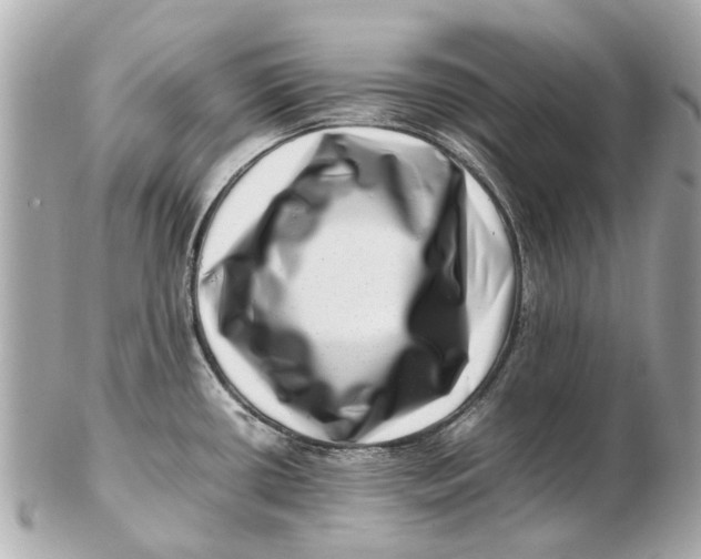 X0000102511434200808291724