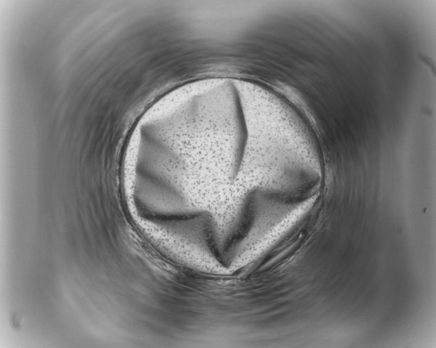 X0000102511435200808291724