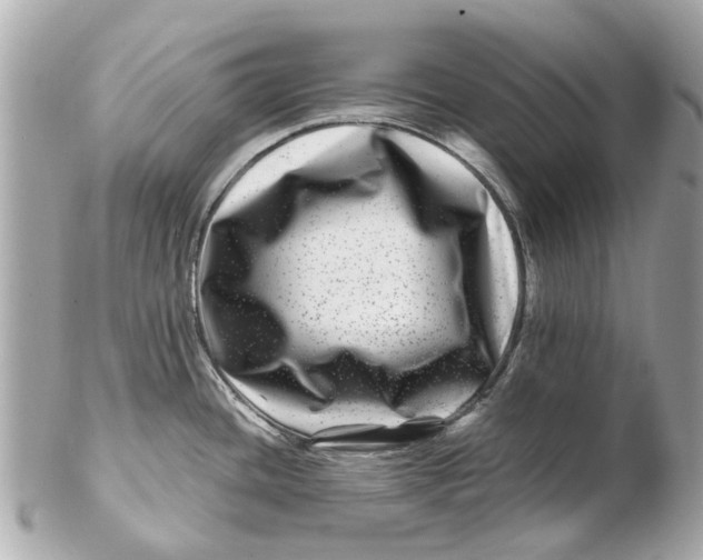 X0000102511436200808291724