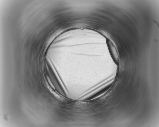 X0000102511437200808291724
