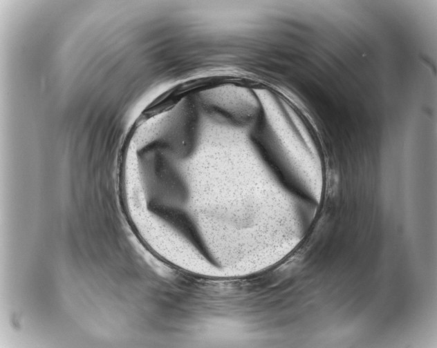X0000102511438200808291724