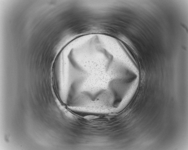 X0000102511439200808291724
