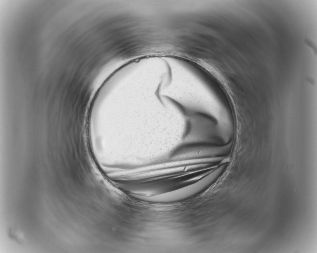 X0000102511440200808291724