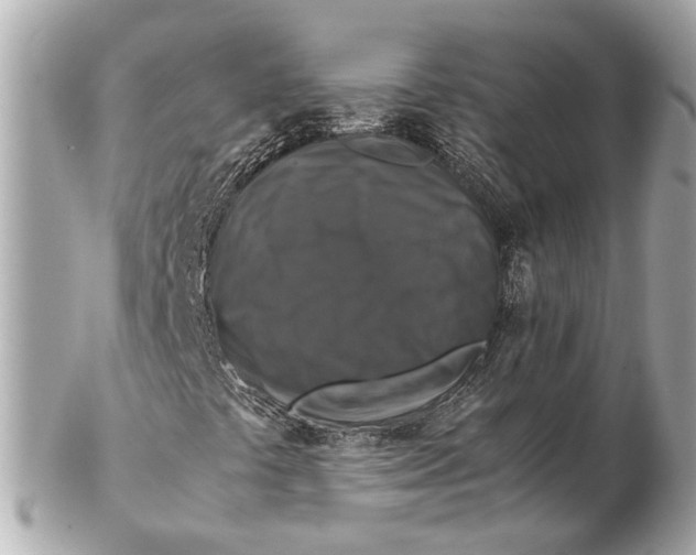 X0000102511441200808291723