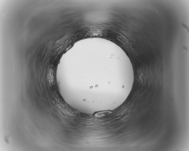 X0000102511442200808291723
