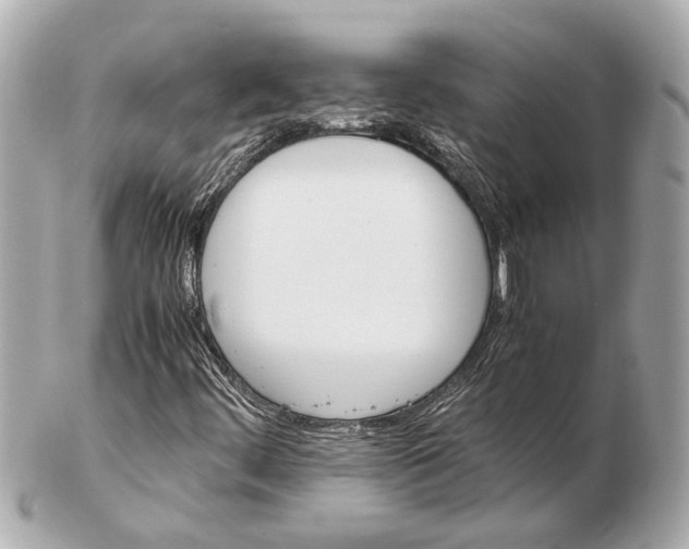 X0000102511444200808291723