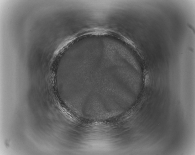 X0000102511448200808291723